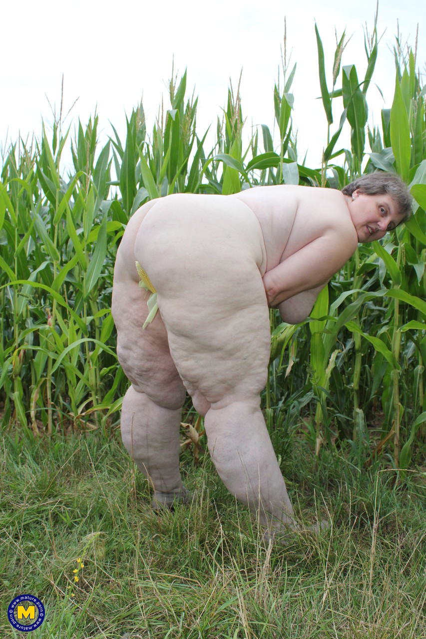 Ожиревшая бабка в кукурузном поле. Фото - 16
