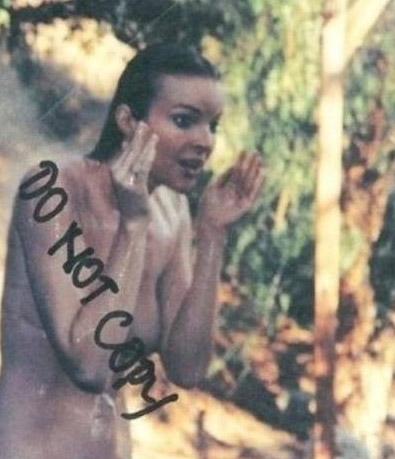Marcia Cross Nude. Photo - 92